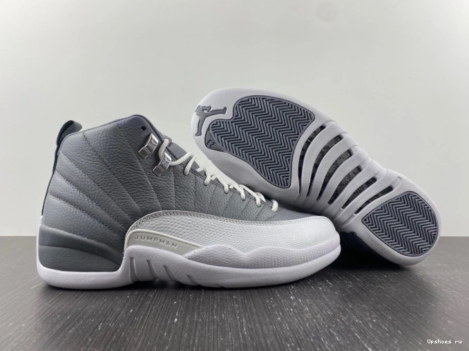 Retro 12 Stealth Jordan CT8013-015 0209